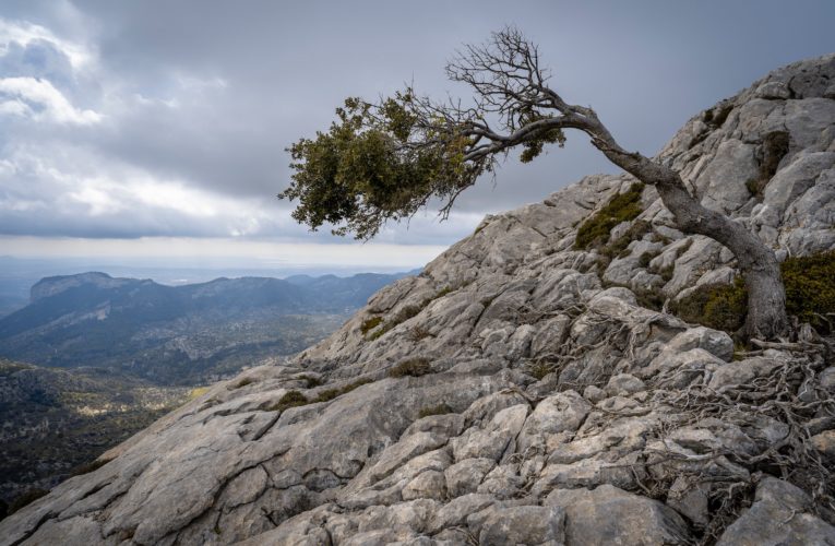 Perth: The Importance of Resilience in Overcoming Trauma
